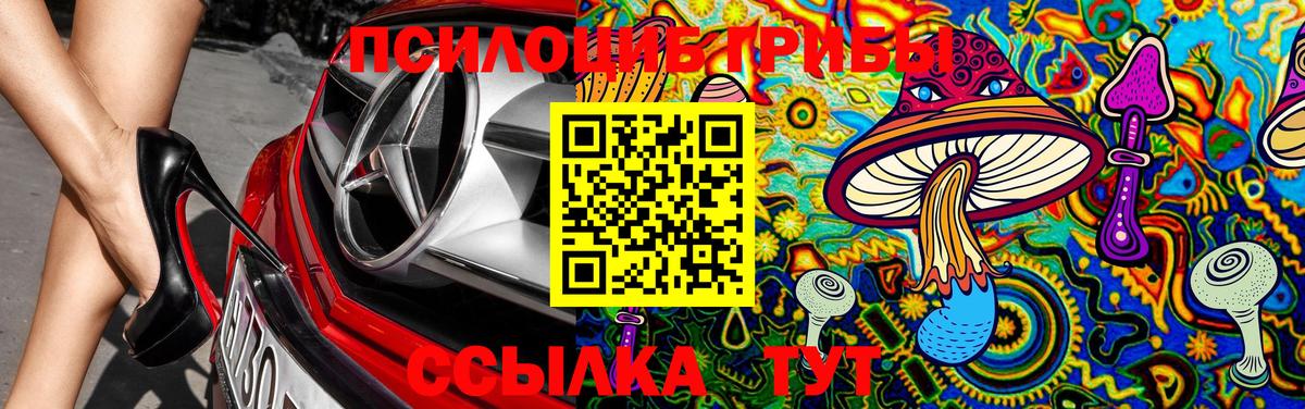 купить закладку  Вход с VPN  Ижевск  Галлюциногенные грибы мицелий 